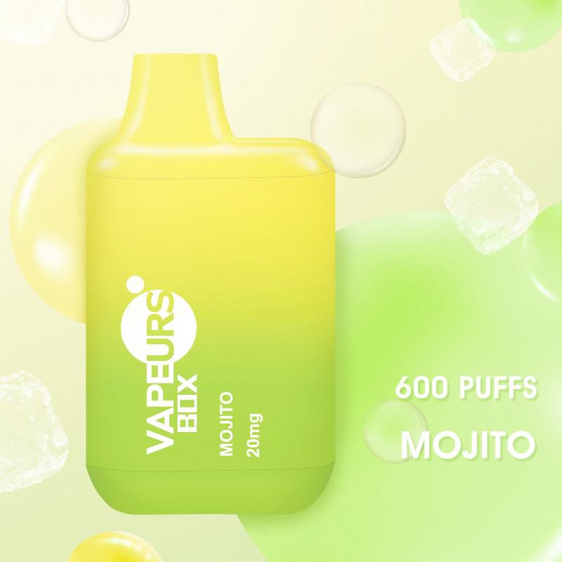 Lost Urs Box 600 Puffs Disposable Big Hit Vape