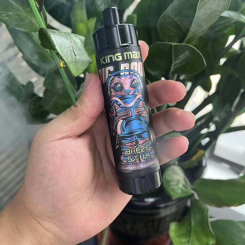volestech Baezestiik Kingmax Dtl 10000 Puffs Big Hit Disposable Vape