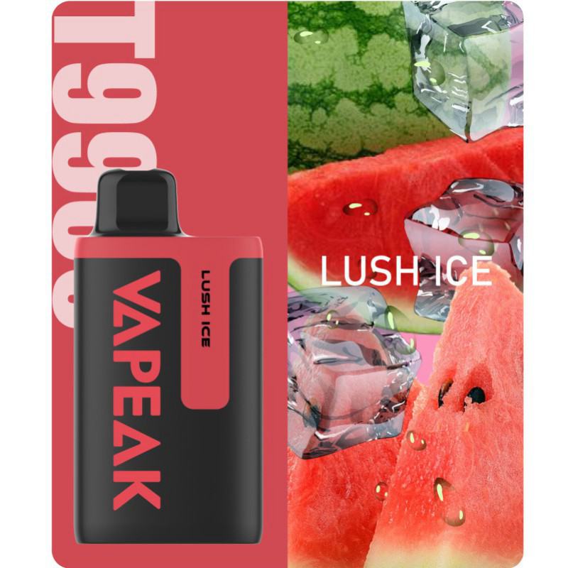 OVNS Technology Co., Ltd Vape Pens Ak T9900