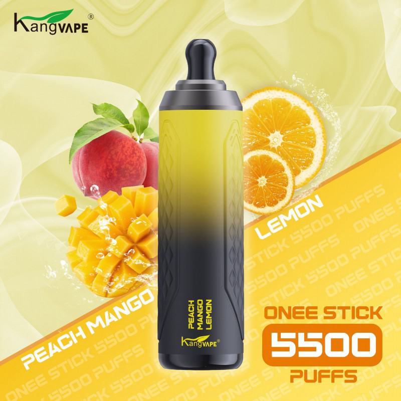 Disposable Vape Brands KANG 5500 2500 Puffs