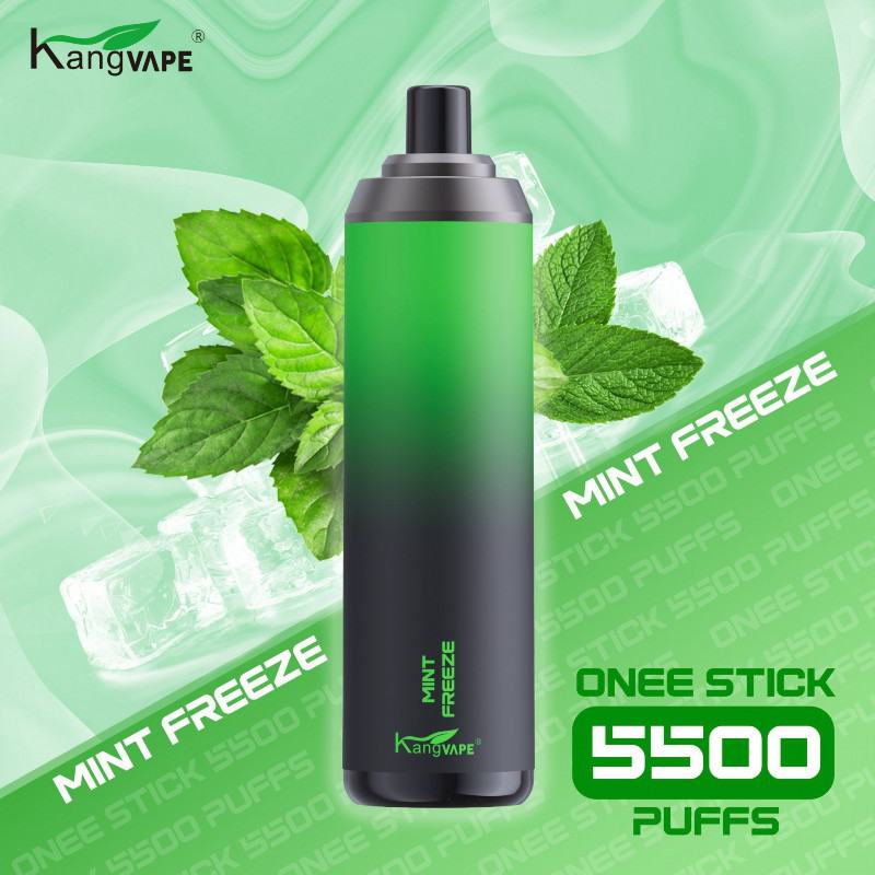 Disposable Vape Brands KANG 5500 2500 Puffs