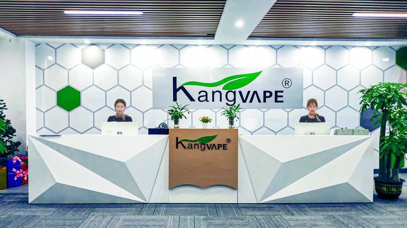 KANG 3000 2000 Puffs Disposable Vape Brands