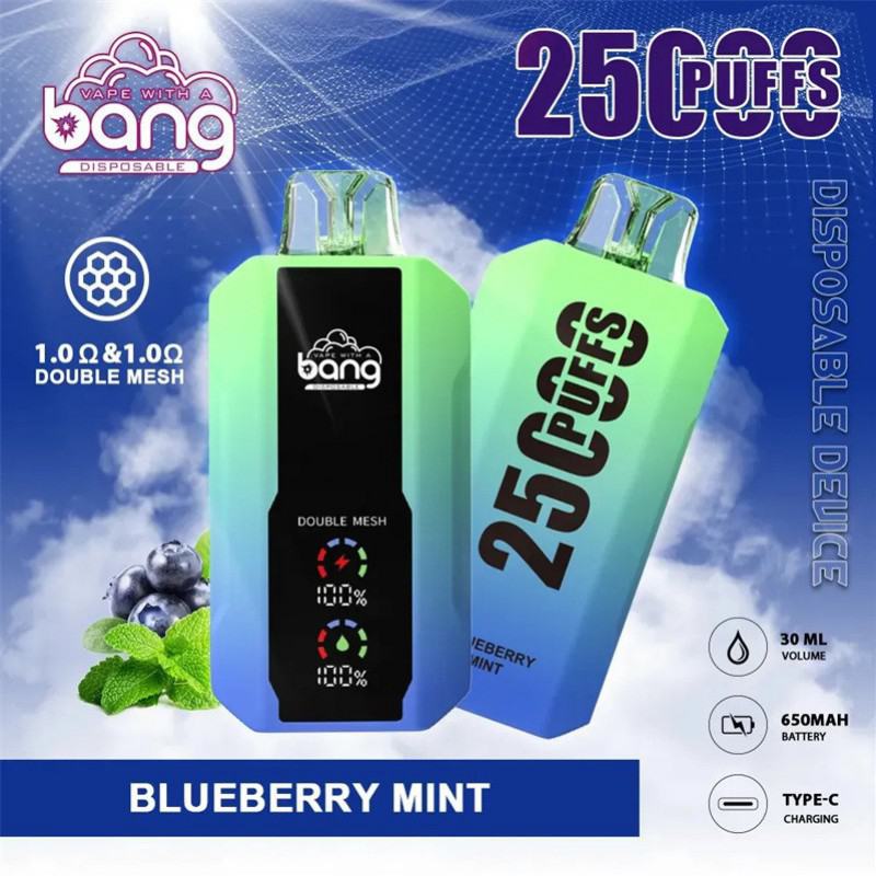 Disposable Bang Vapes 25000 Puffs
