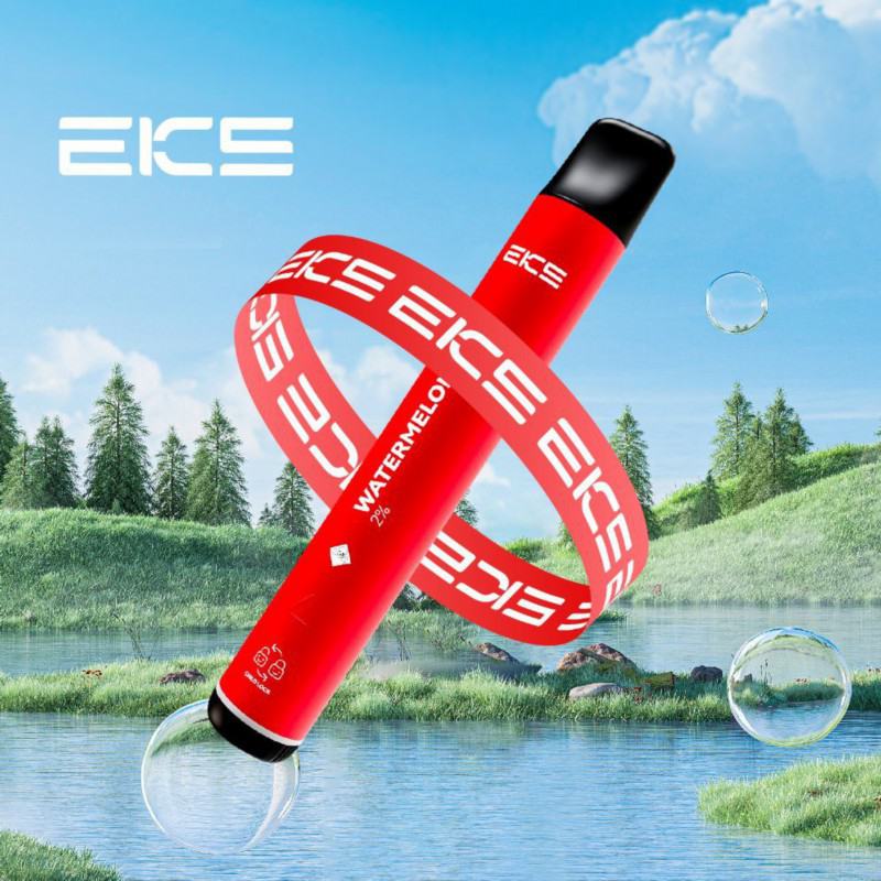 Disposable EKS Vape Mini 800 Puffs Pen