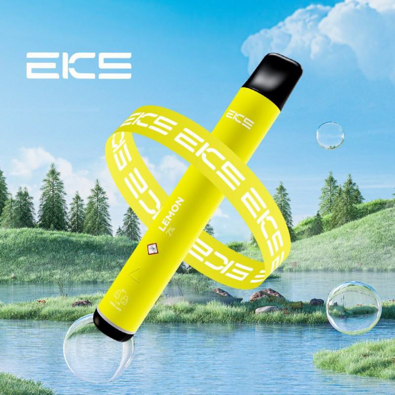 Disposable EKS Vape Mini 800 Puffs Pen