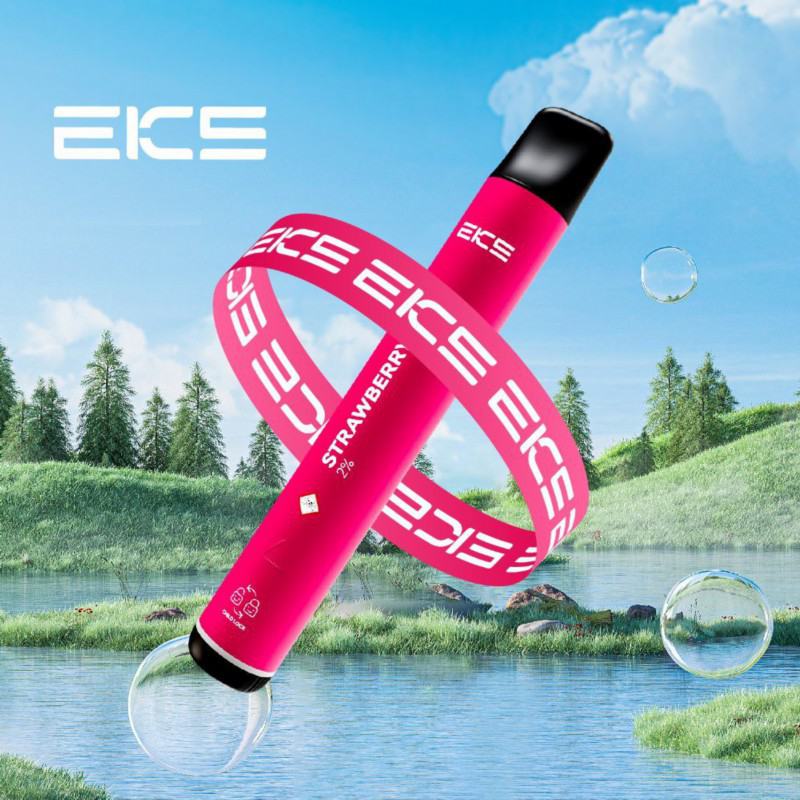 Disposable EKS Vape Mini 800 Puffs Pen