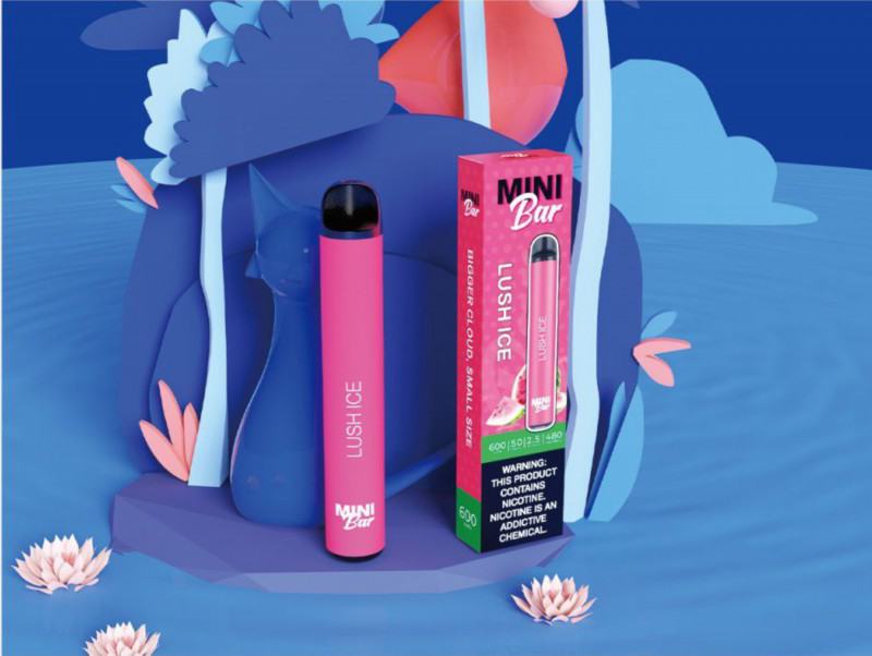 Big Puff Pens Plus Mini Js631 600 Puffs Vape