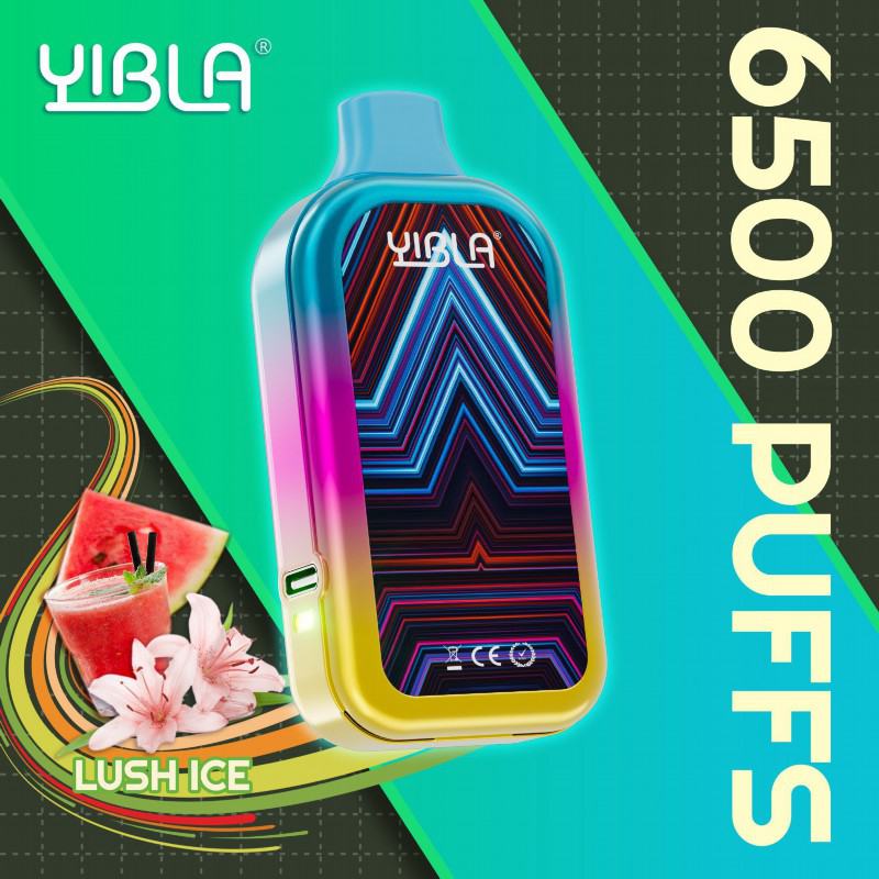 Disposable Kang Vapes Yibla 6500