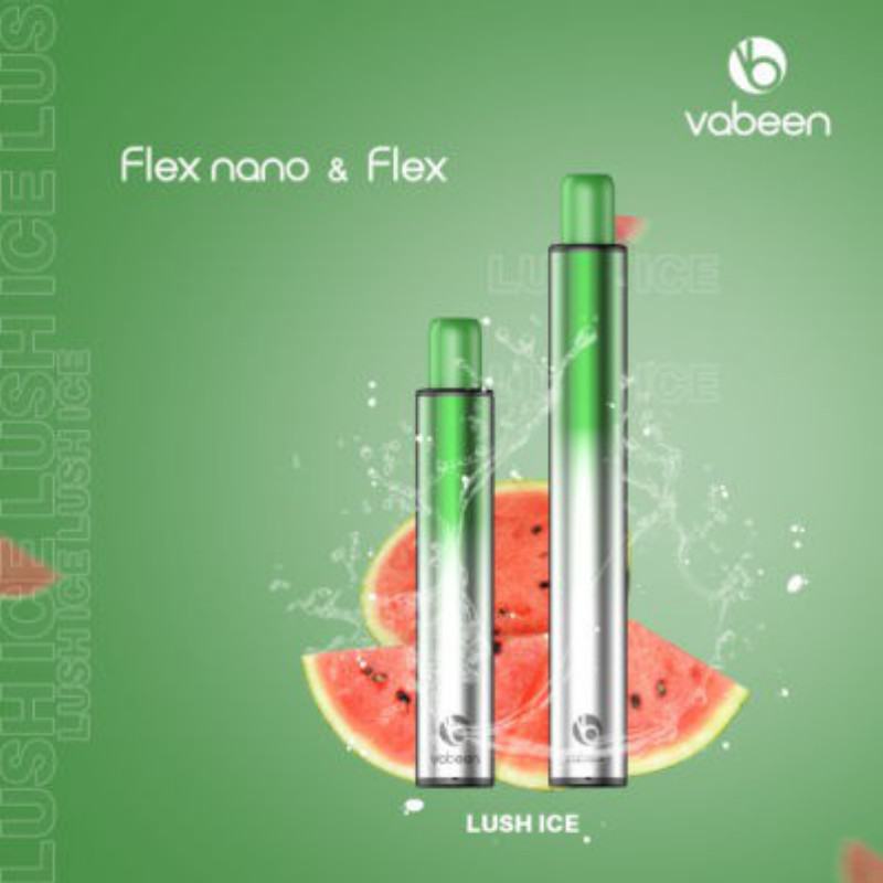 Vabeen Vabeen Flex 1000 Puffs Disposable E-cigarette Nicotine