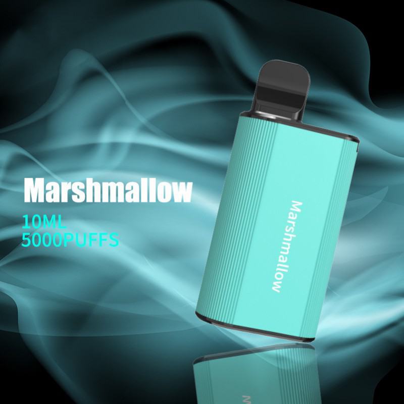 Disposable Fume Vape Hb1001 5000 Puffs Brands