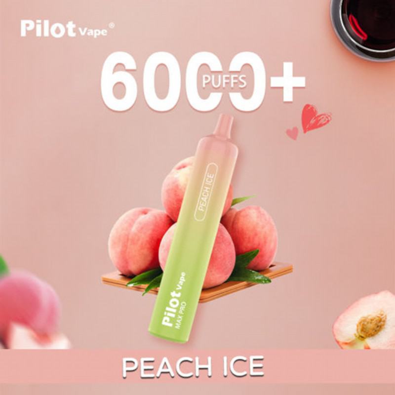 Disposable Vape Pens Pilot 6000 