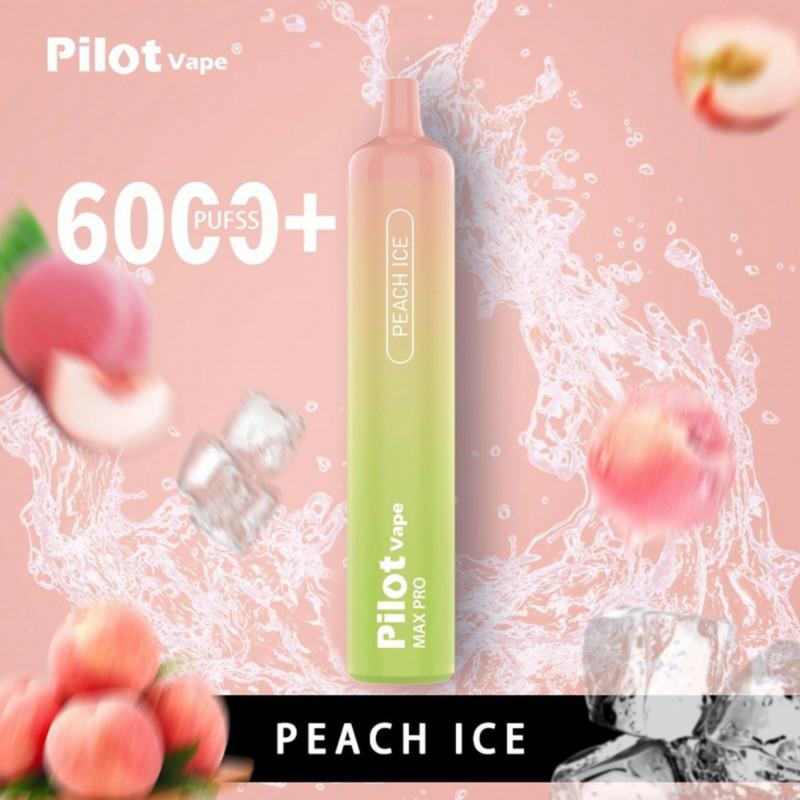 Disposable Vape Pens Pilot 6000 