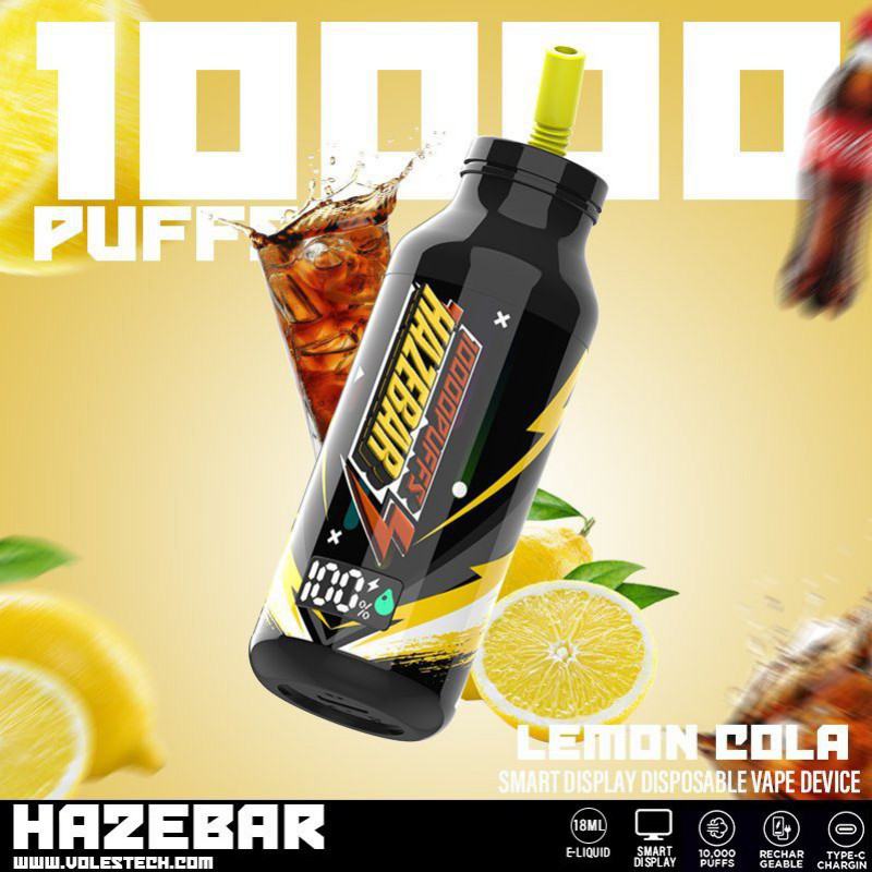 Disposable Haze E-cigarette Haze 10000 Puffs Nicotine