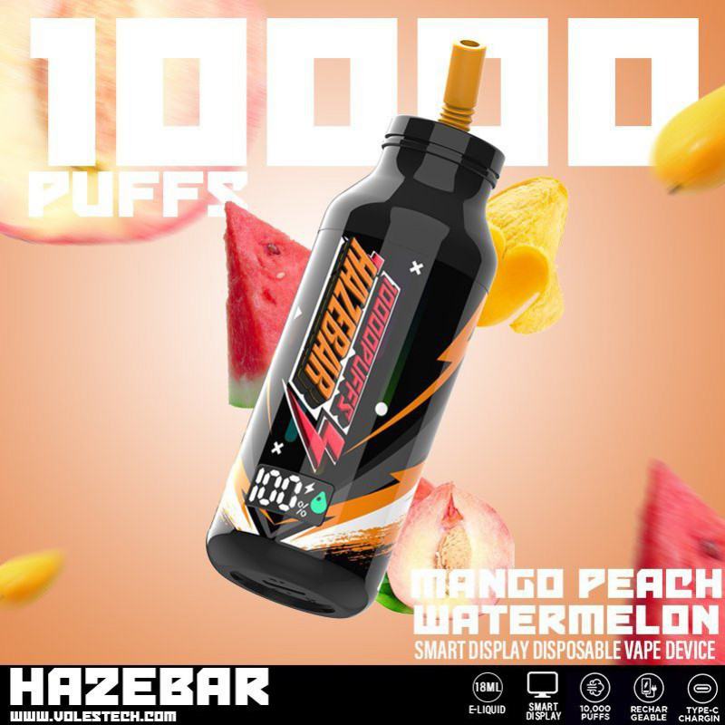 Disposable Haze E-cigarette Haze 10000 Puffs Nicotine
