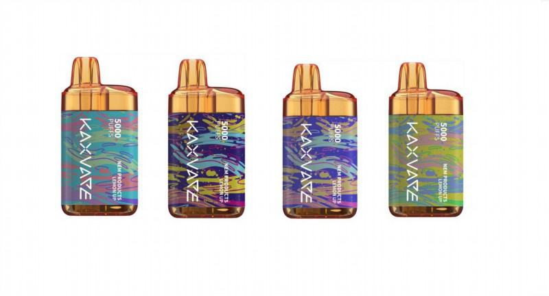 K A X B101 5000 Puffs Bar Vape