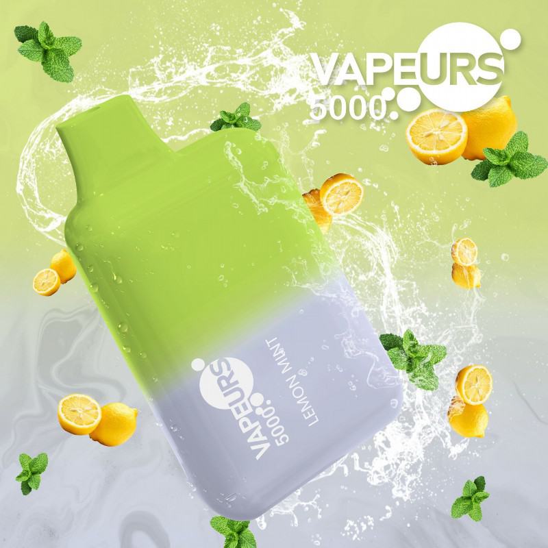 urs Puff Urs 5000 Puffs Disposable E-cigarette