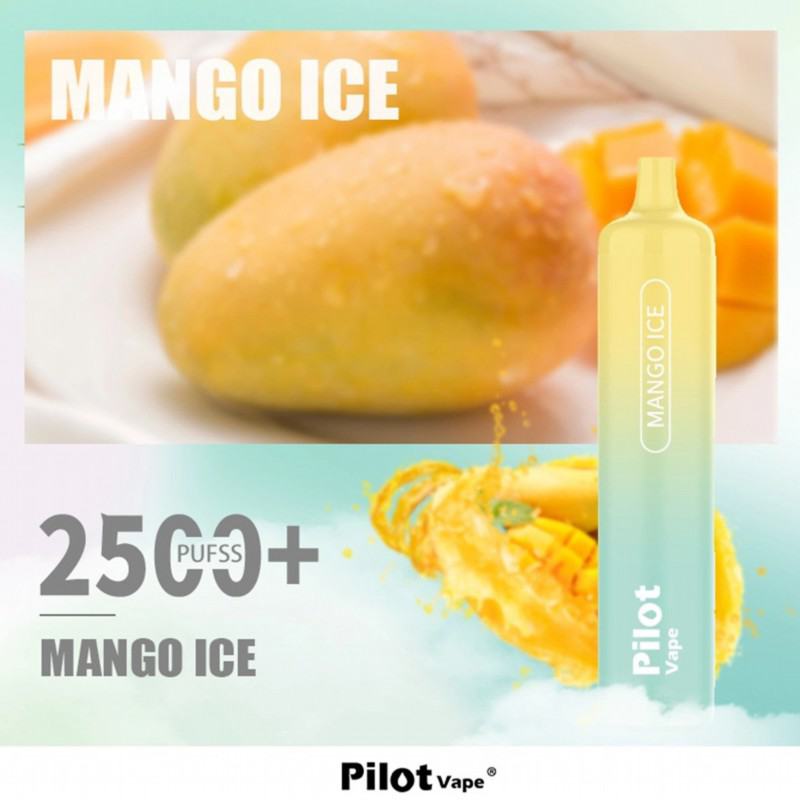 pilot 10000 10k Pilot 2500 10000 Puffs Disposable Vape Pen