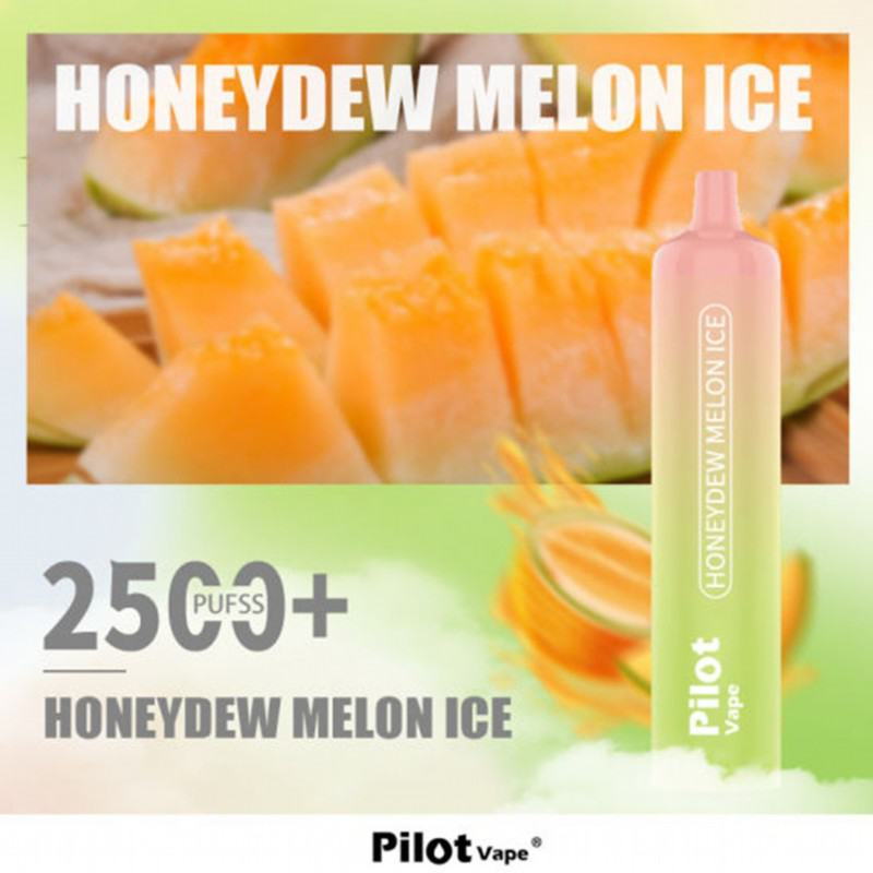 pilot 10000 10k Pilot 2500 10000 Puffs Disposable Vape Pen