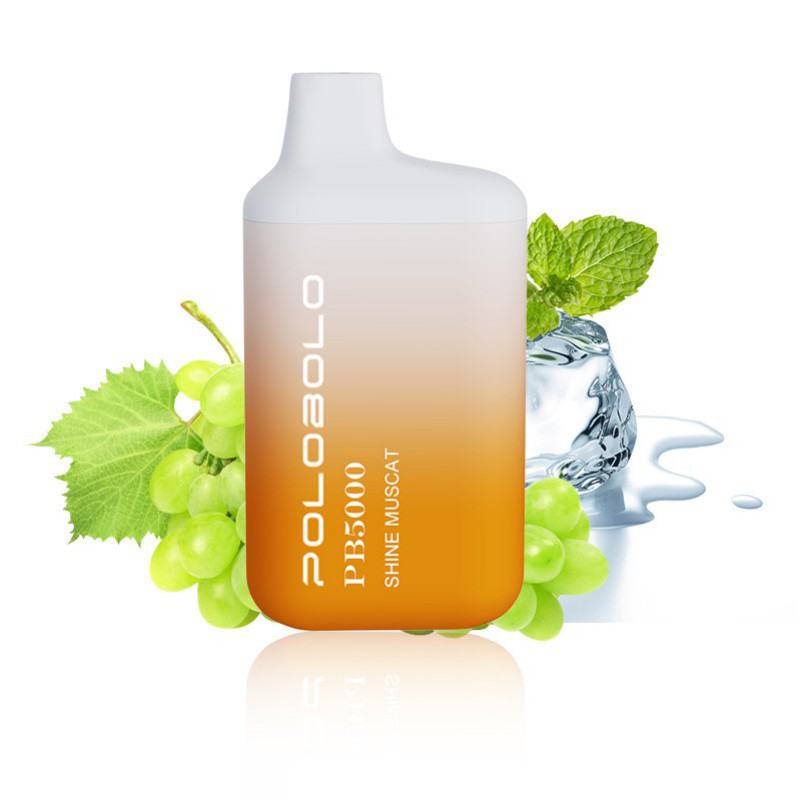 POLOBOLO Pb Disposable 5000 Puffs Bars