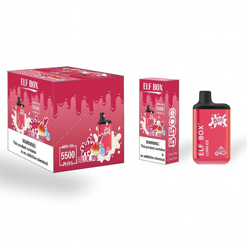 Disposable Vape Pen Box5500