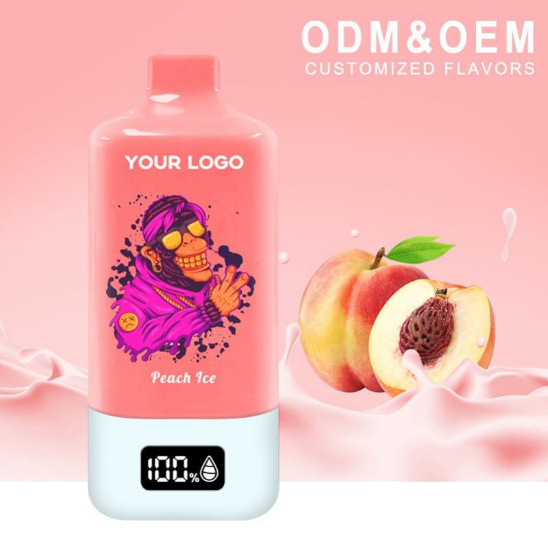 Baish Zbood R69 15000 Disposable Big Hit Vape