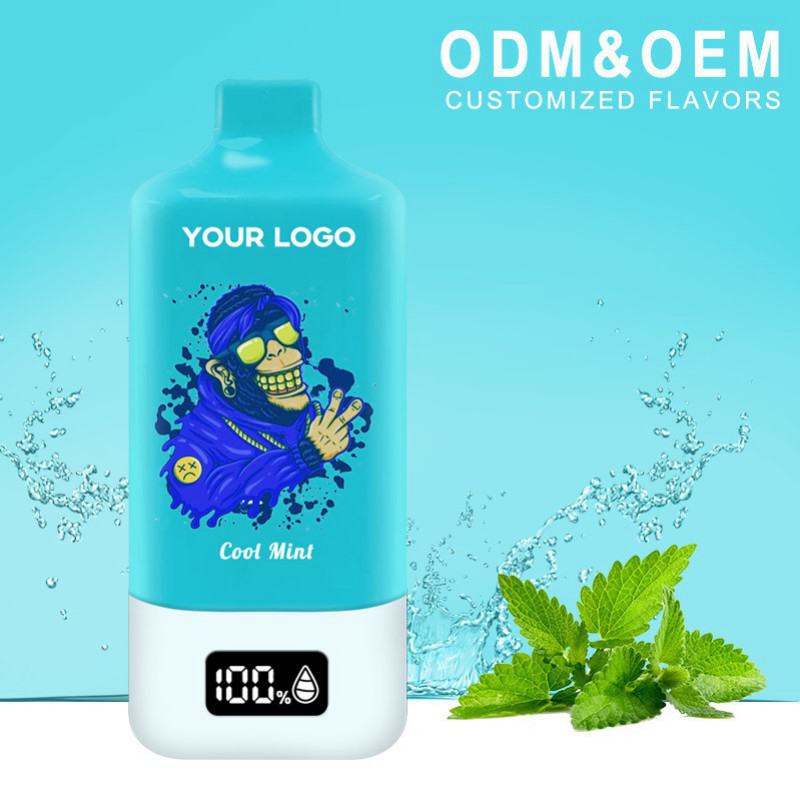 Baish Zbood R69 15000 Disposable Big Hit Vape