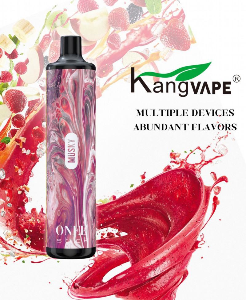 KANG 600 3000 Puffs Disposable E-cigarette Nicotine