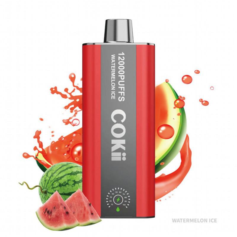 Insta Pen Cokii Time Clock 15000 Puffs