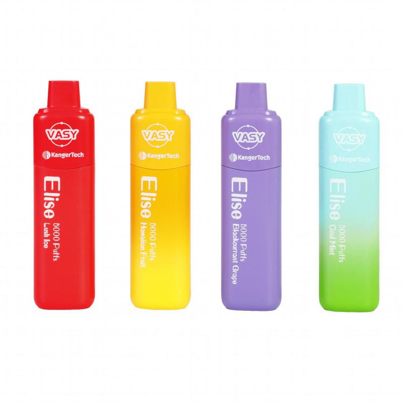Vasy elise Elise Bc 5000 Puffs Cheap