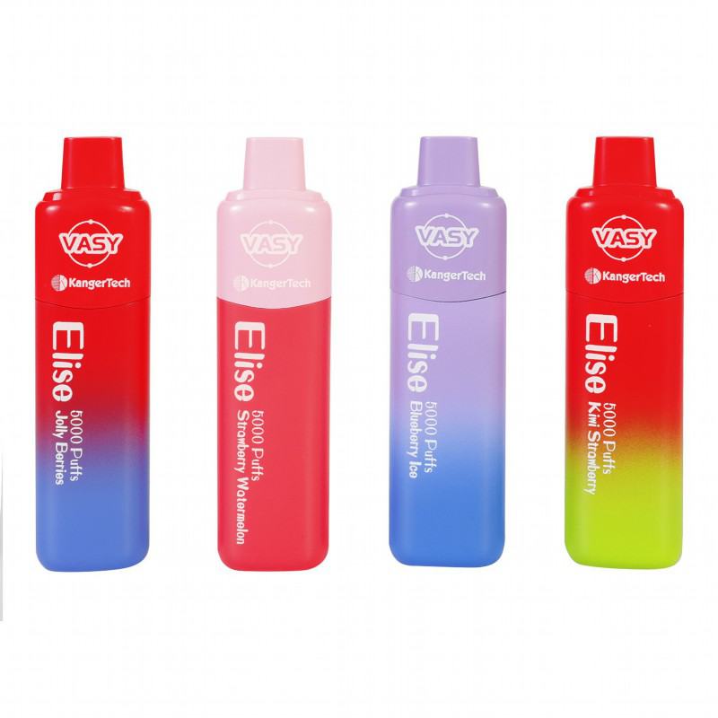 Vasy elise Elise Bc 5000 Puffs Cheap