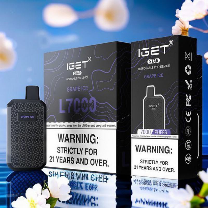Disposable Vape Bars Iget 7000 Puffs