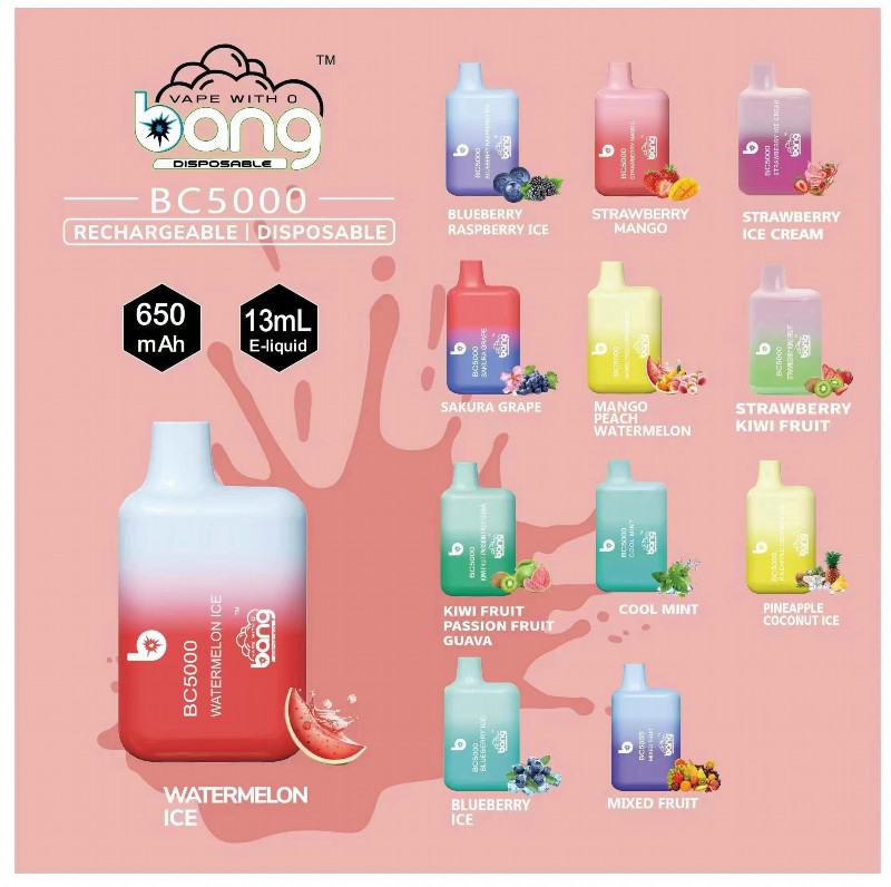 Bang Vape Pens 5000 Puffs