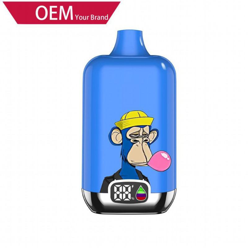 OEM ODM 12k Puffs Disposable Vape Pens