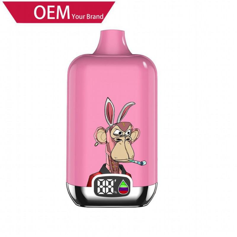OEM ODM 12k Puffs Disposable Vape Pens