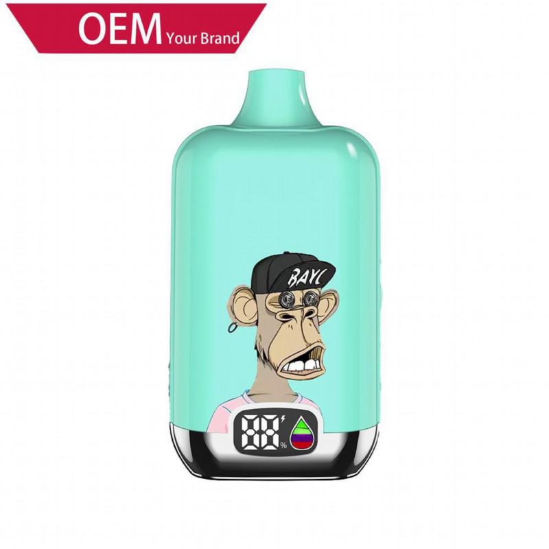 OEM ODM 12k Puffs Disposable Vape Pens