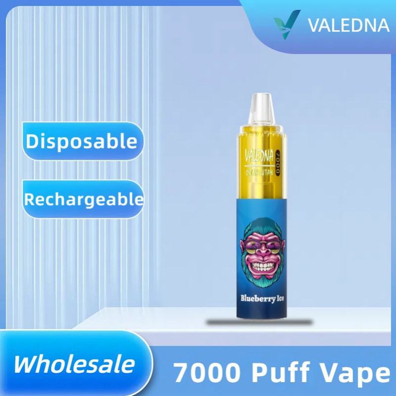 VALEDNA Disposable Vape Pens 001 9000 Puffs