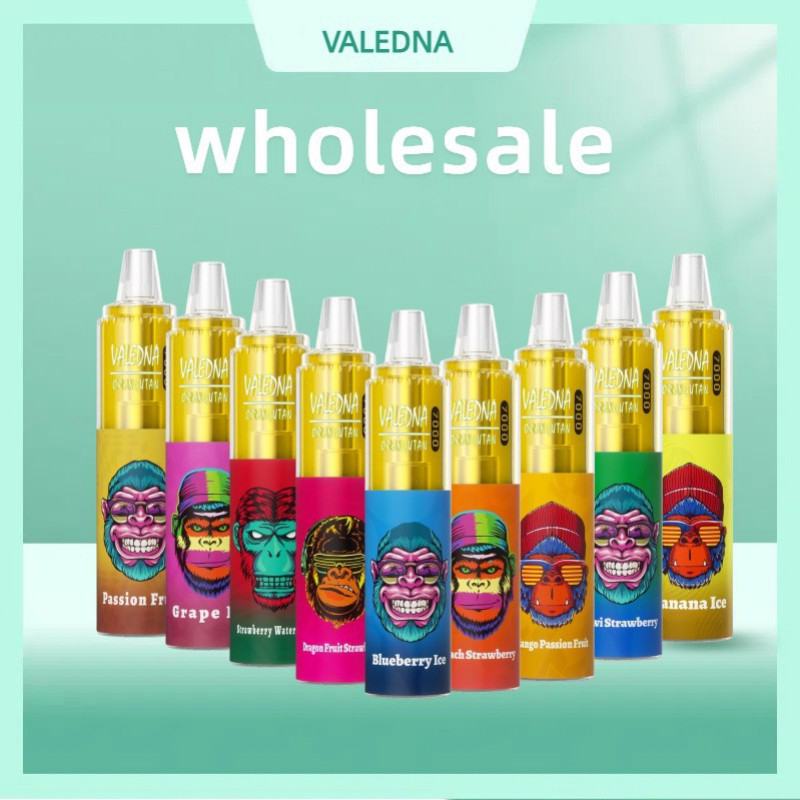 VALEDNA Disposable Vape Pens 001 9000 Puffs