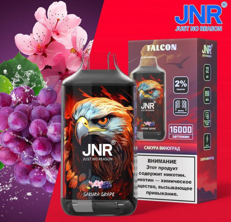 Big Puff Pens Plus Insta Jnr Falcon 7500 Puffs Vape