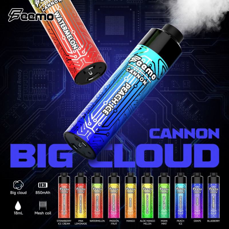 Disposable Vape Pen Support OEM Feemo Cannon Bigcloud Puffs