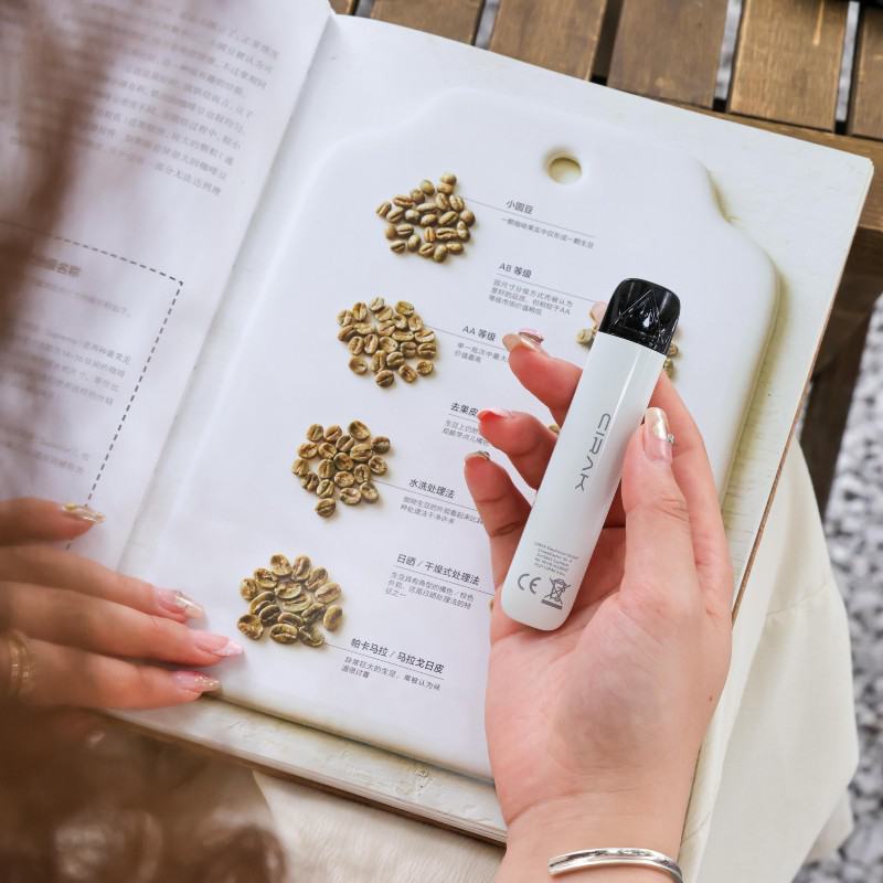 Hqd Disposable Vapes H602 600± Puffs