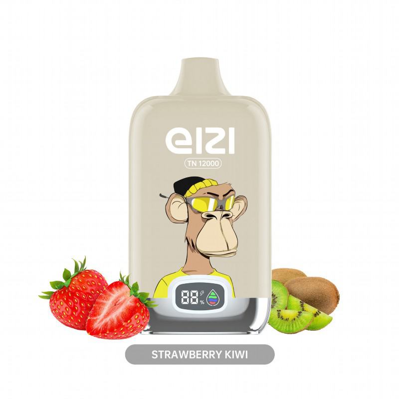 oly Eizi Tn12000 Disposable Vape