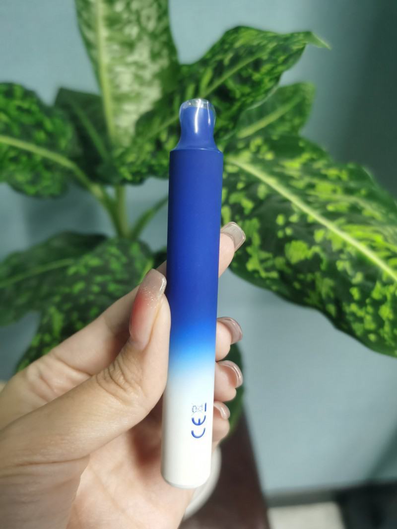 Lost Pen Oem 600 Puffs