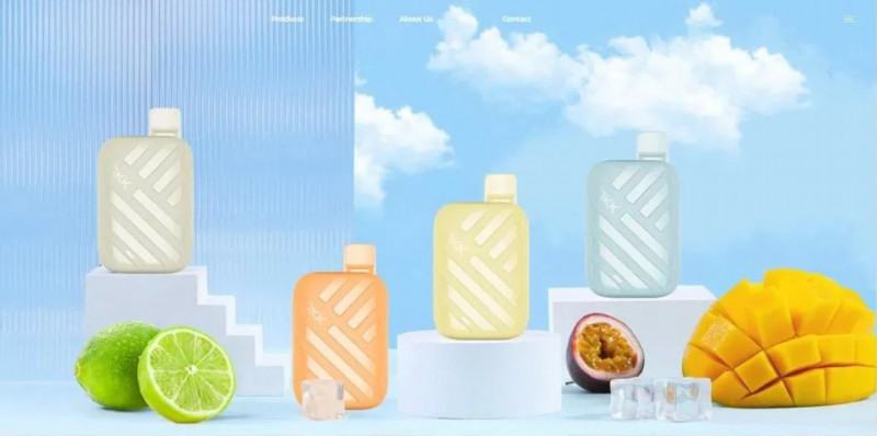 Okk Pen Vape Traveler 10000 Puffs