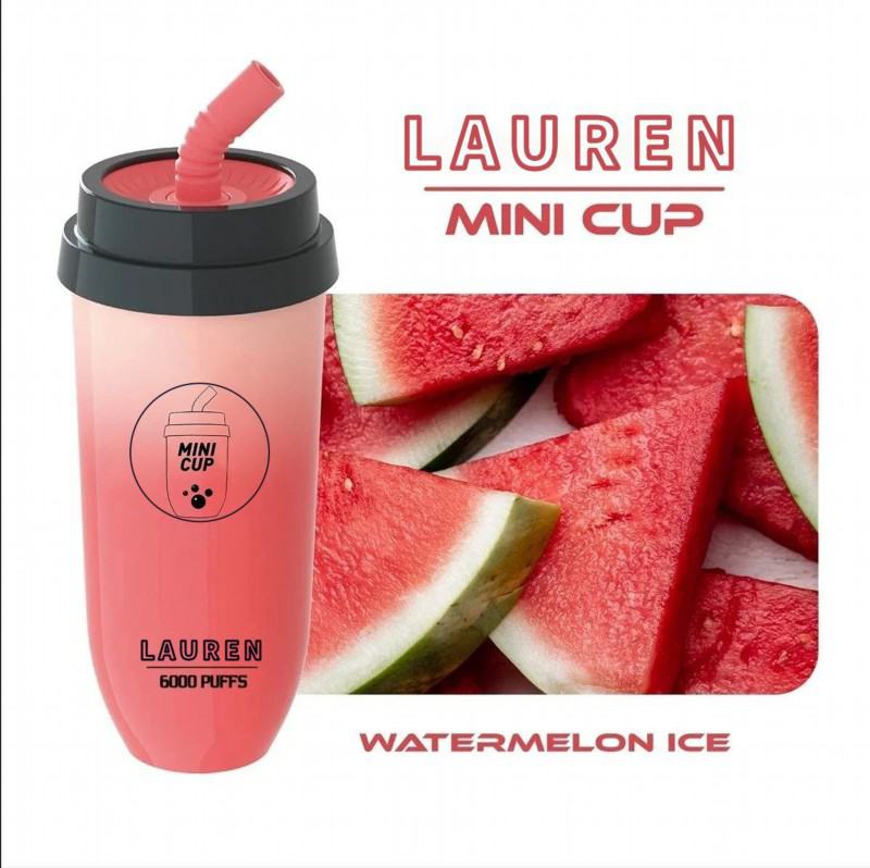 customize Lrec02 6000 Puffs Original