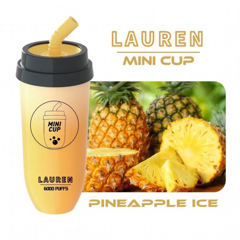 customize Lrec02 6000 Puffs Original