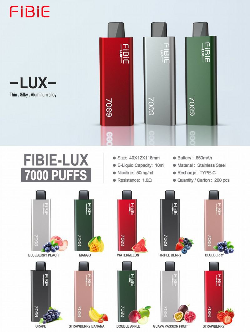 FIBIE Big Puff Bars Plus