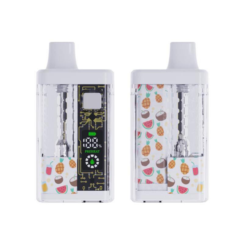 Disposable FV 5ml Empty Disposable Box Vape Brands