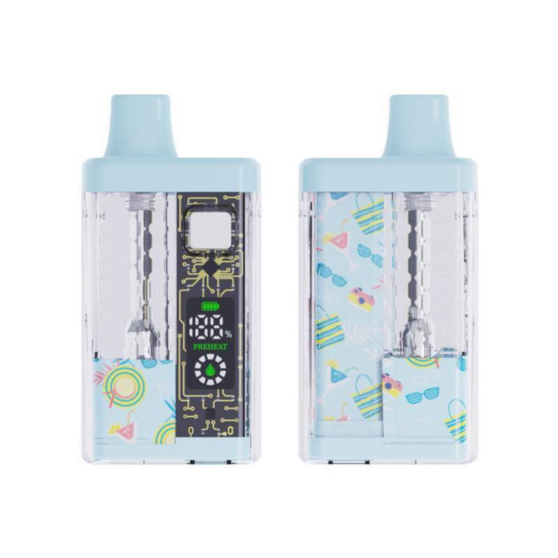 Disposable FV 5ml Empty Disposable Box Vape Brands