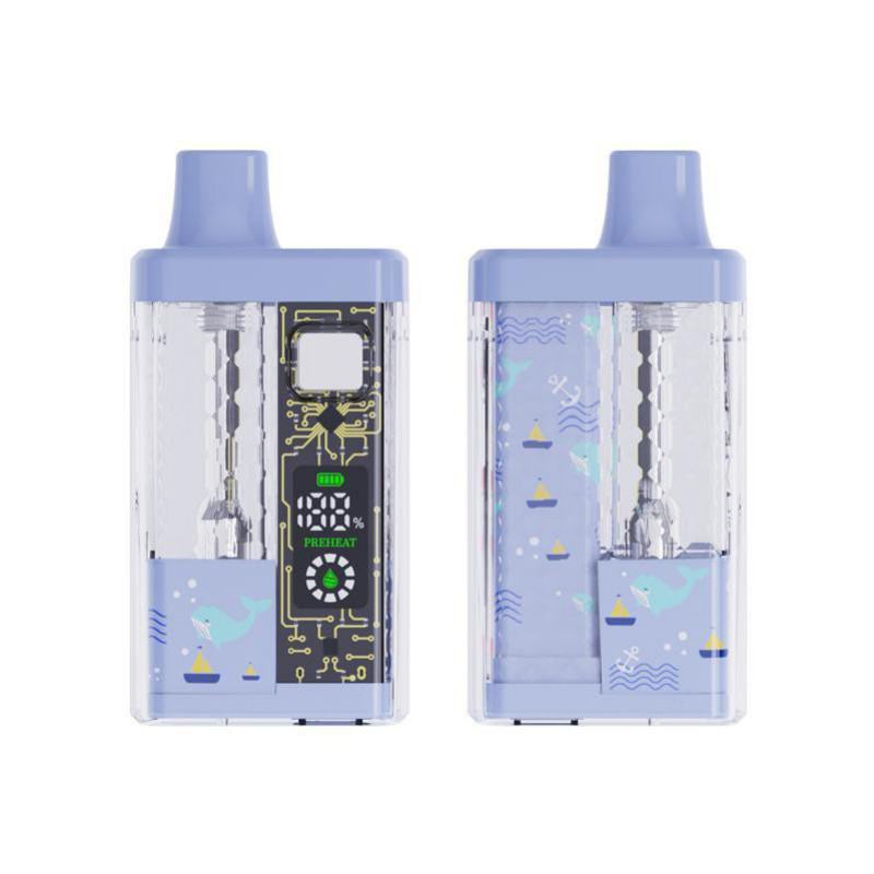 Disposable FV 5ml Empty Disposable Box Vape Brands