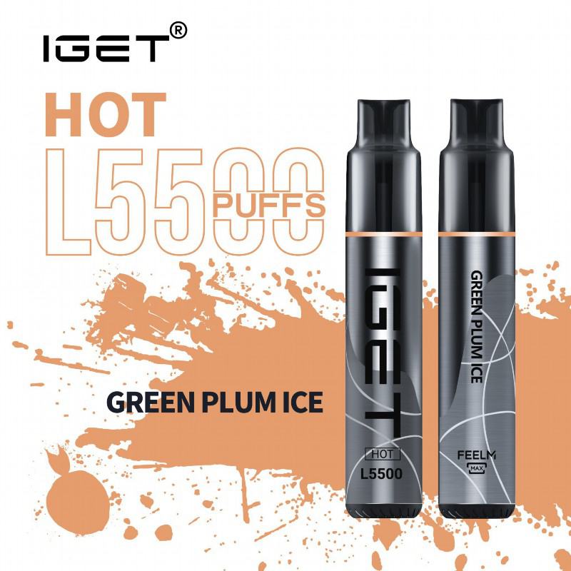 IGET Iget Hot L5500 5000 Puffs Bar Vape
